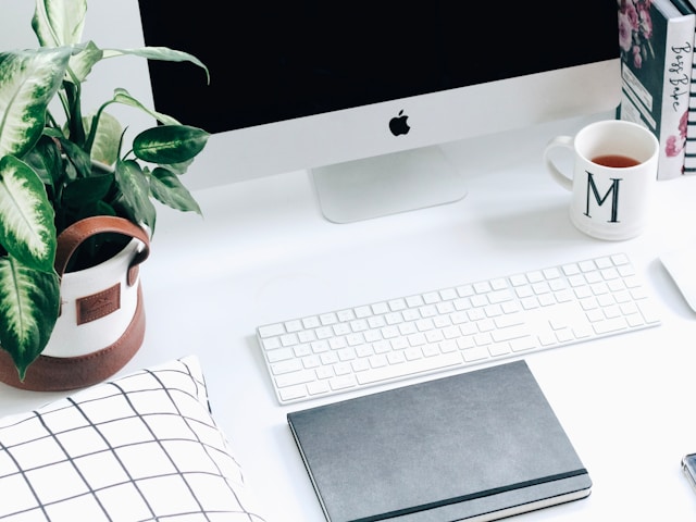 How SEO Training Can Transform Your Business Growth